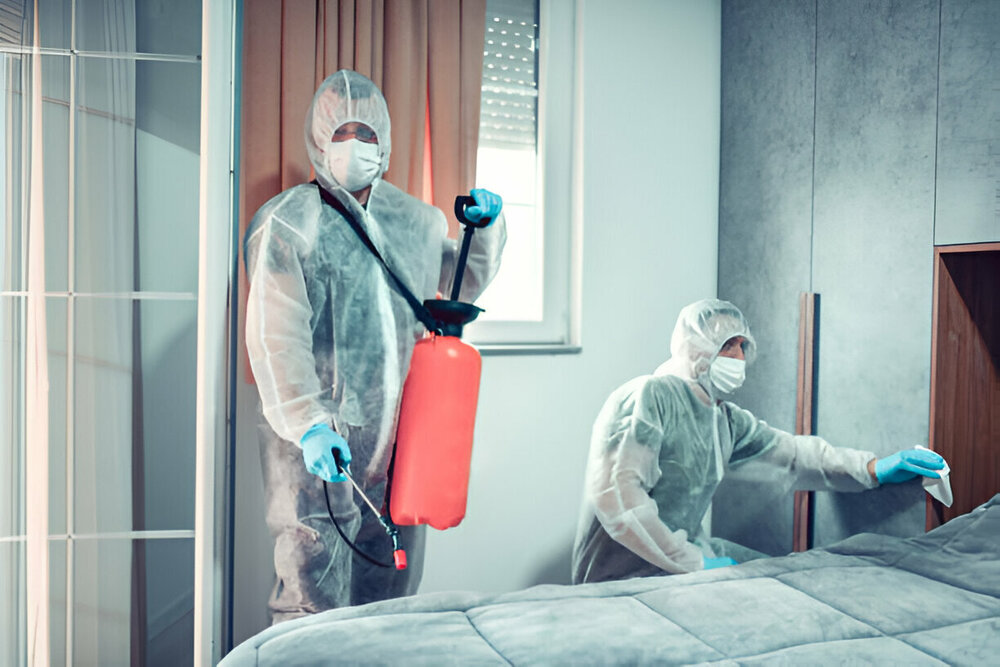 Bed Bug Control Whitby